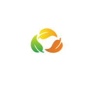 Central Park 1