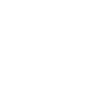 DLF 1