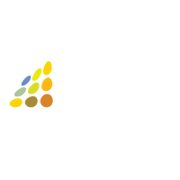 Ireo 1